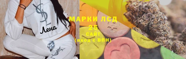 индика Кукмор