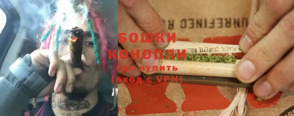 индика Кукмор