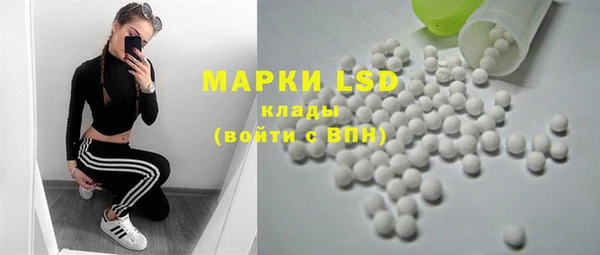 индика Кукмор