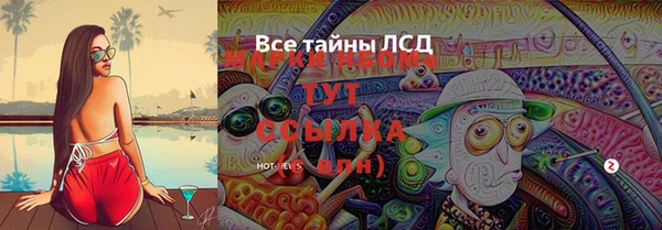 круглые Абаза
