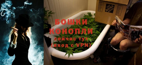 индика Кукмор