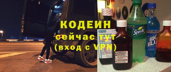 индика Кукмор